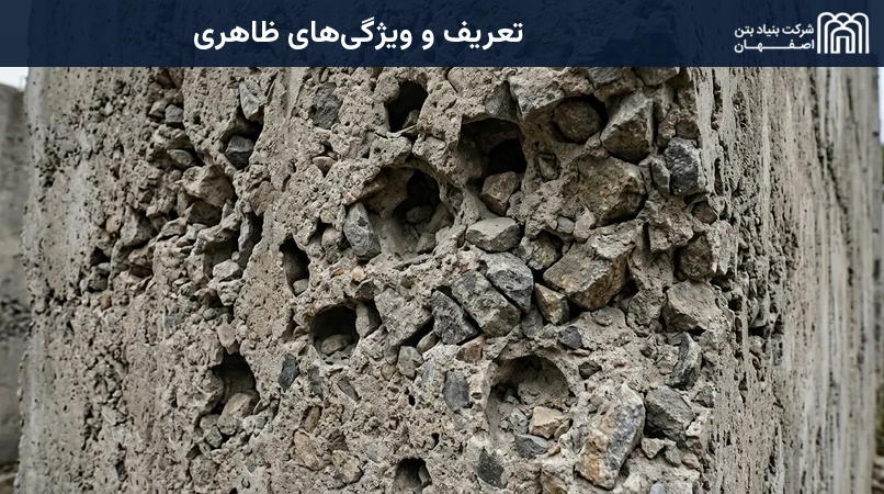 تعریف و ویژگی‌های ظاهری